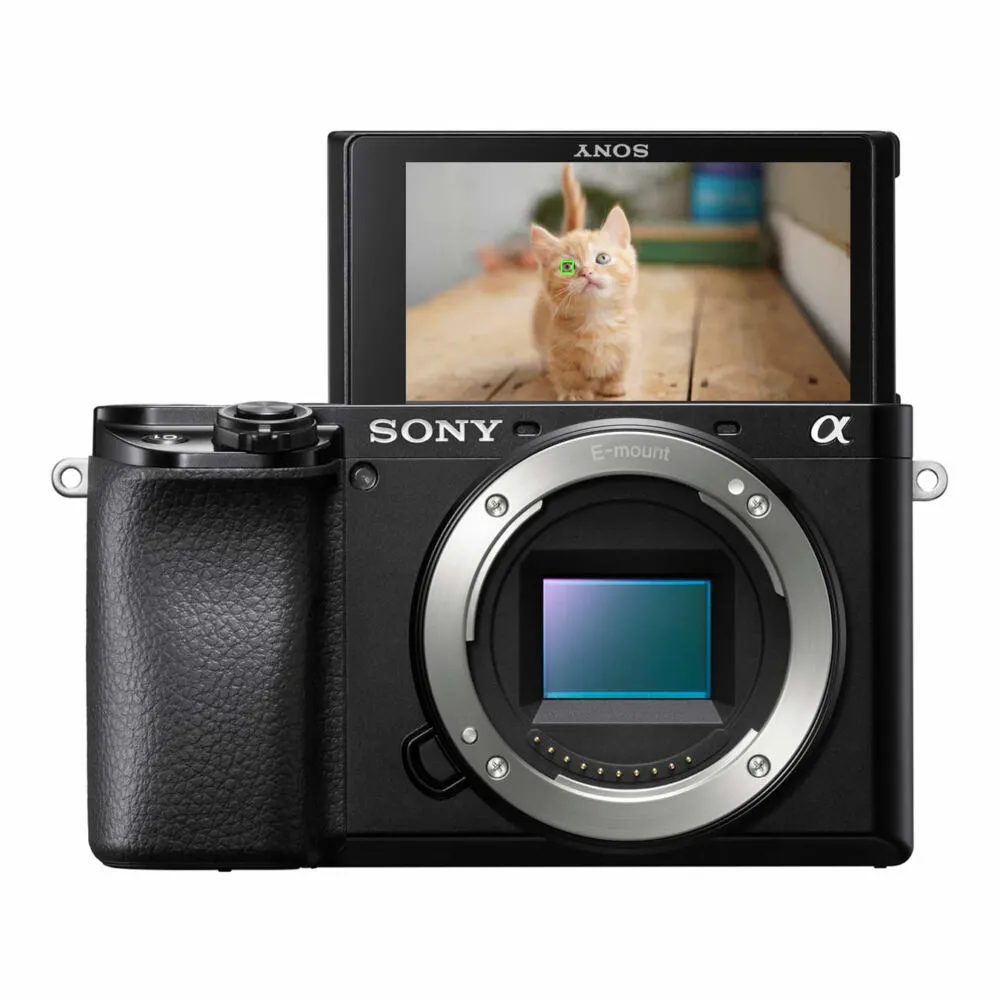 Sony α 6100 MILC 24,2 MP CMOS 6000 x 4000 Piksel Siyah Digital Kame
