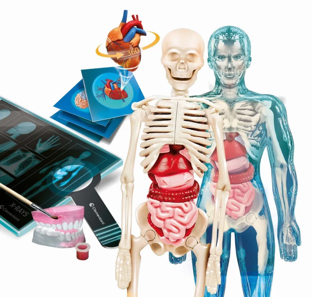 Clementoni Science & Jeu Laboratoire - L'anatomie 52661 Thumbnail 1