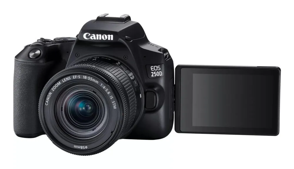 Canon 250D + 18-55mm IS STM 3454C007 Thumbnail 8