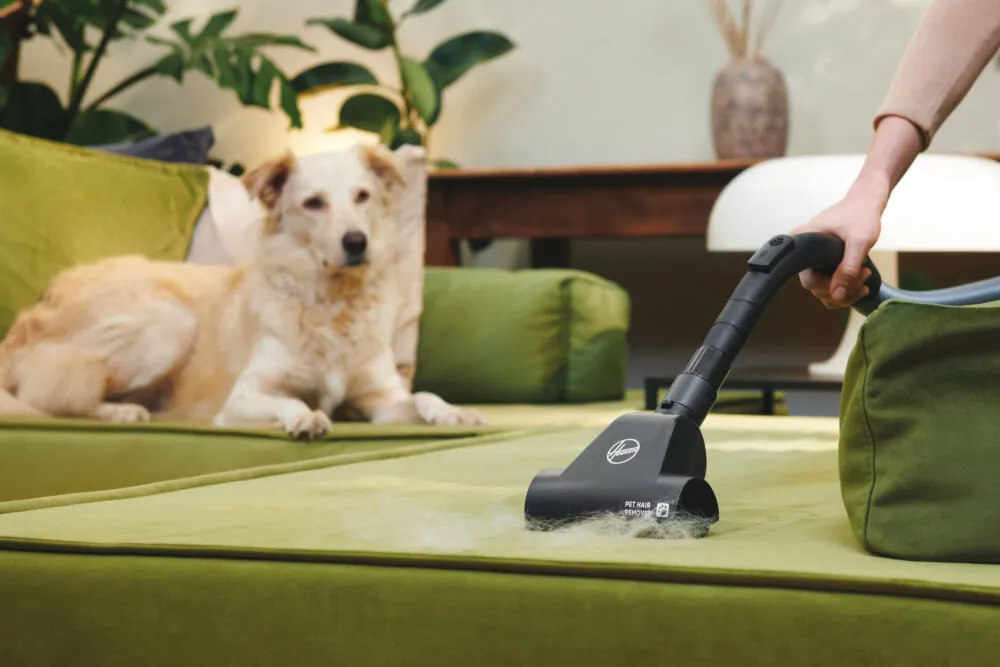 Hoover Telios Extra TXL80PET 011 39002329 700 W 3.5 L Toz Torbalı Süpürge Thumbnail 4