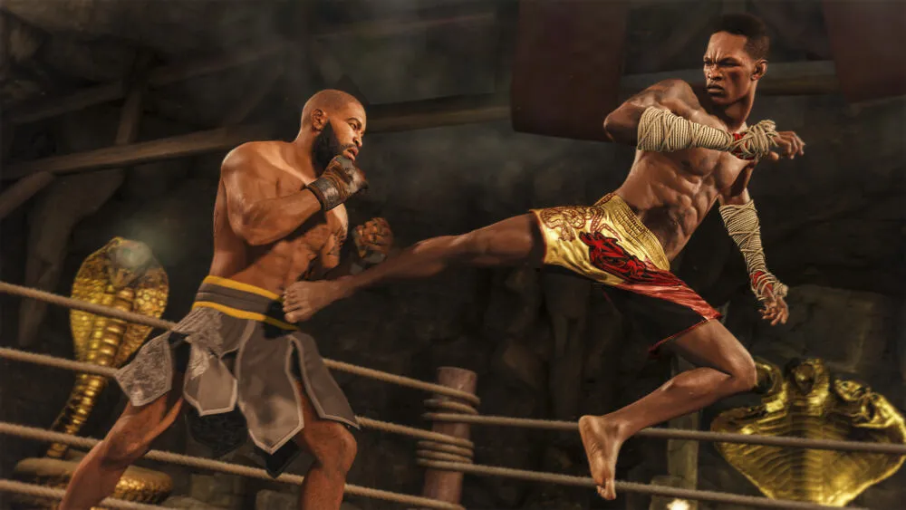 Sony UFC 4 standart PlayStation 4 Thumbnail 1