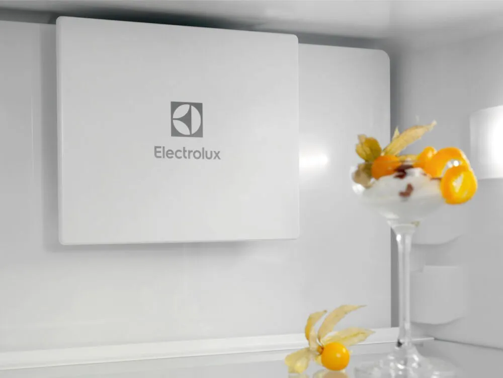 Electrolux ENT6ME19S 925 954 001 269 Litre No-Frost Buzdolabı Thumbnail 4