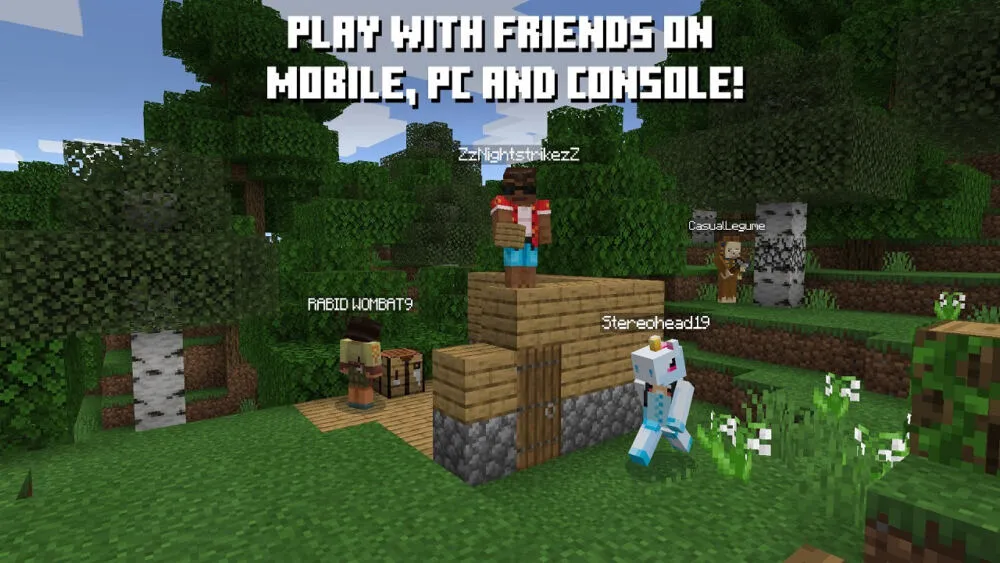 Nintendo Minecraft 10007477 Thumbnail 9
