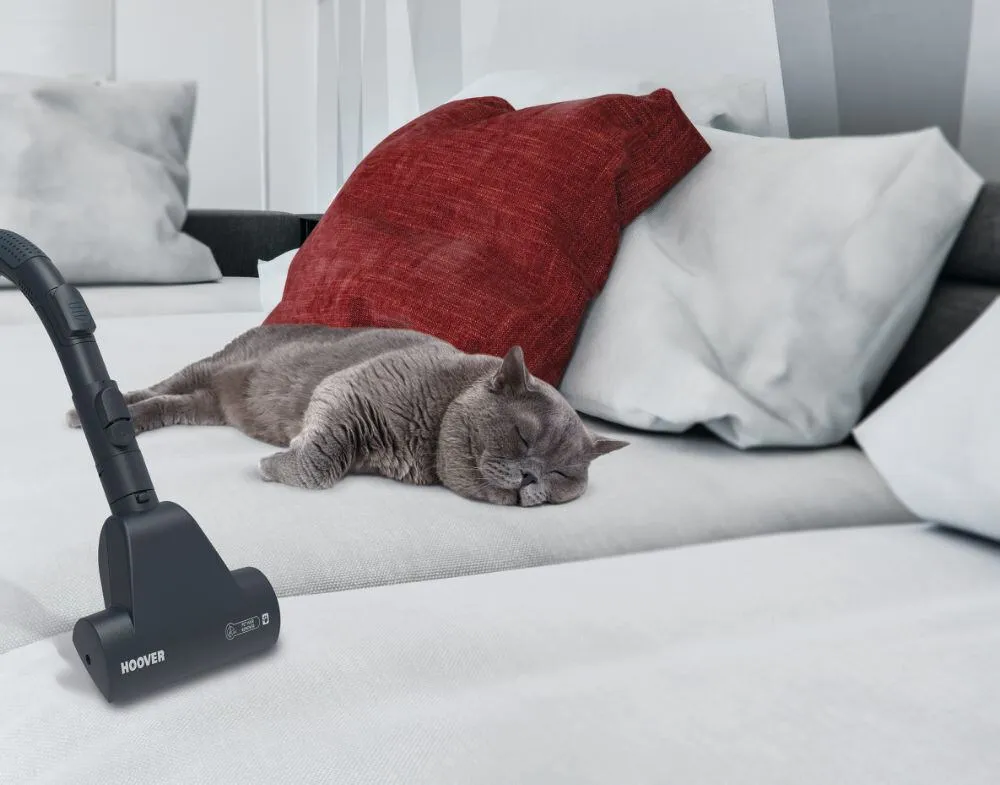 Hoover TX42PET 011 5 l 39002237 700 W 3.5 L Toz Torbalı Süpürge Thumbnail 6