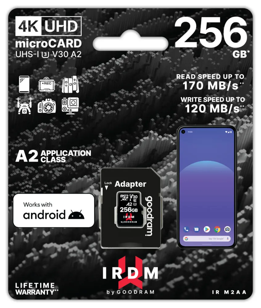 Goodram IRDM M2AA 256 GB IR-M2AA-2560R12 Thumbnail 3