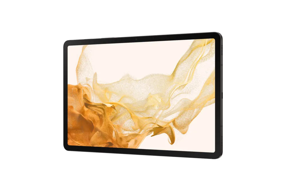 Samsung WiFi SM-X700 256 GB SM-X700NZABEUE 11 inç 8 GB RAM Grafit Tablet Thumbnail 9
