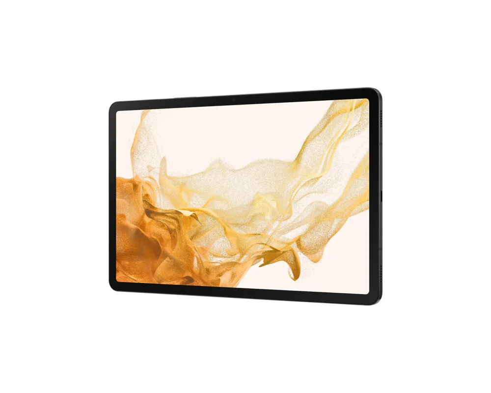 Samsung SM-X700N 256 GB SM-X700NZABXAR 11 inç 8 GB RAM Grafit Tablet Thumbnail 5