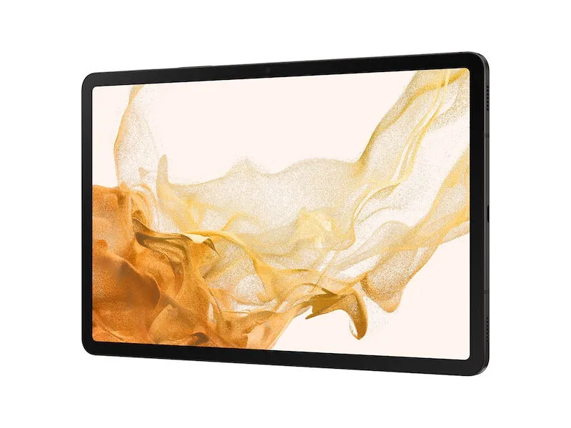 Samsung SM-X700N 128 GB SM-X700NZAAXAR 11 inç 8 GB RAM Grafit Tablet Thumbnail 4