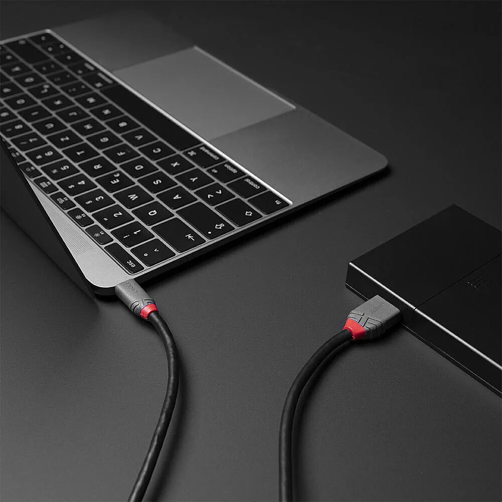 Lindy 36622 USB C to Micro-USB B (2 m) USB Kablosu Thumbnail 5