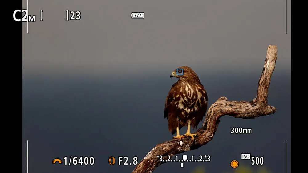 Canon EOS R7 + RF-S 18-150mm IS STM 5137C010 Thumbnail 10