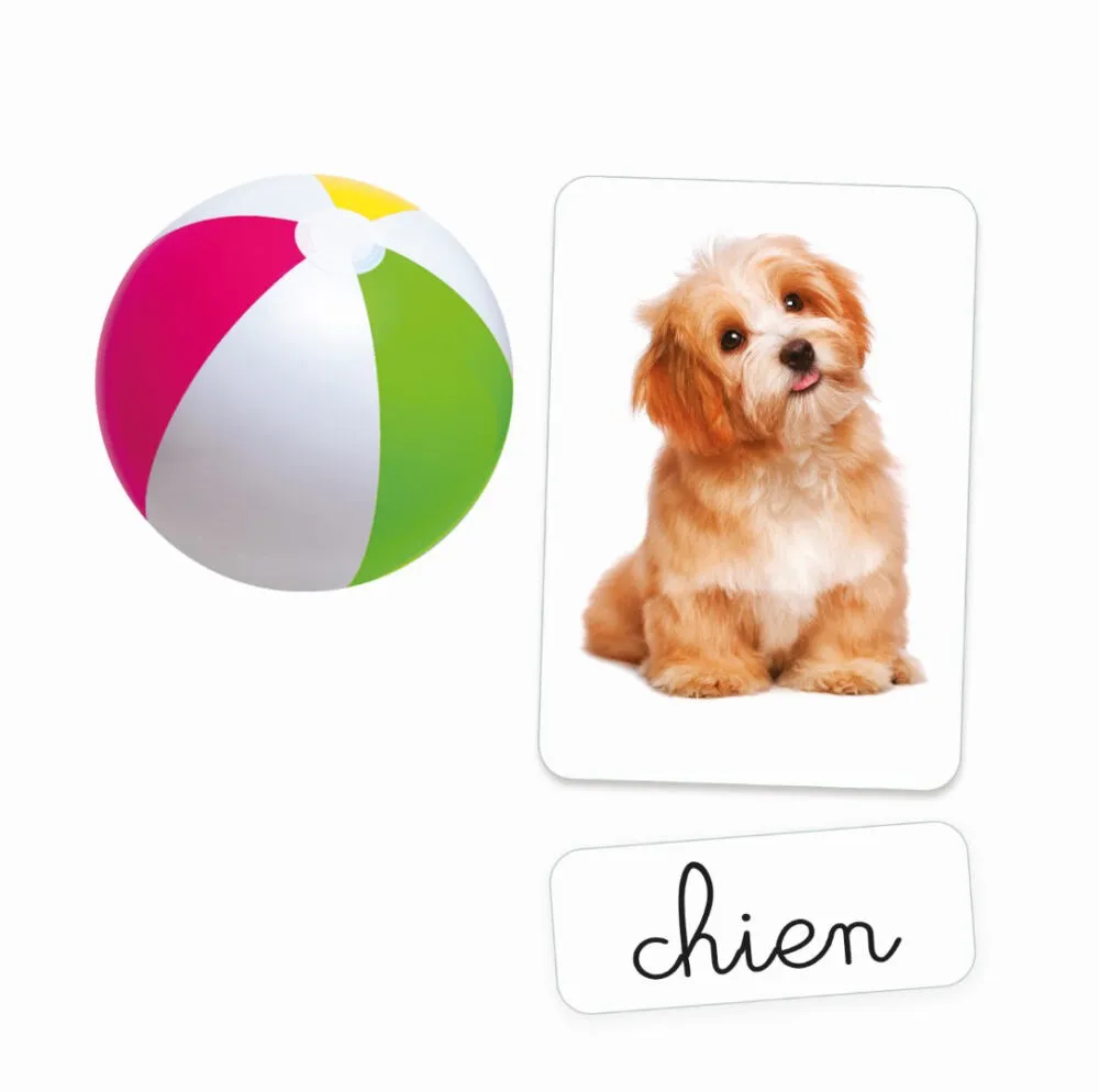 Clementoni 52706 Thumbnail 4