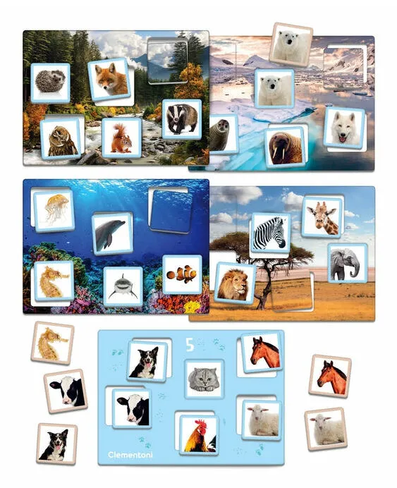 Clementoni Éducation 67773 Thumbnail 6