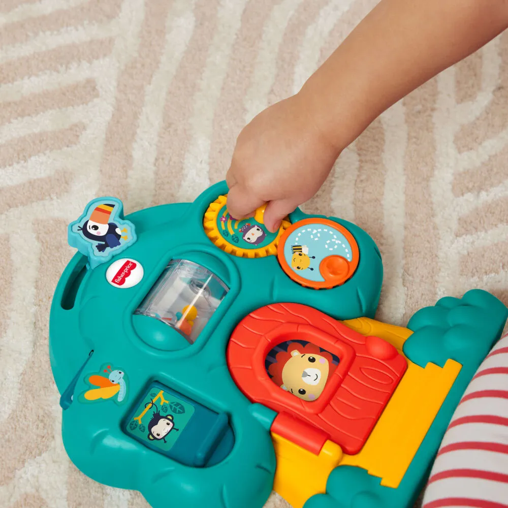 Fisher-Price HXK32 Thumbnail 3