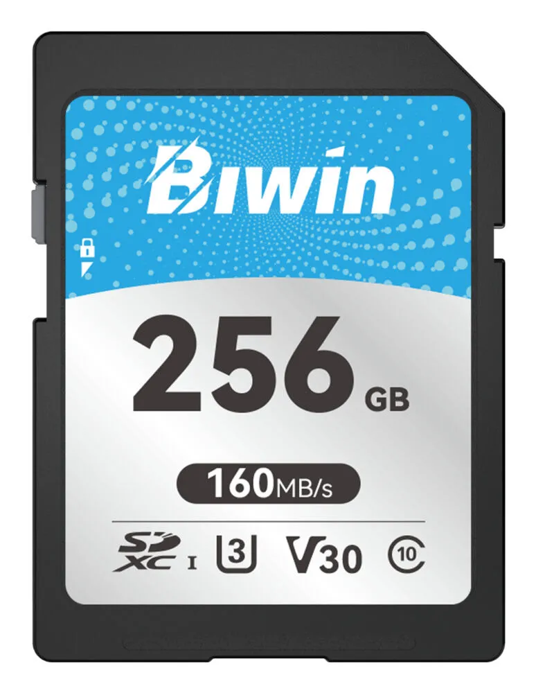 Biwin BMSD160256G-RGX hafıza kartı 256 GB SD UHS-I Sınıf 10