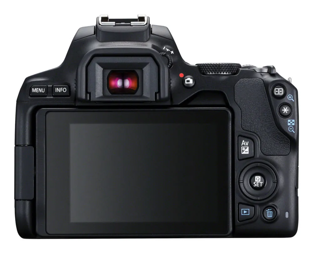 Canon EOS 250D+EF-S 18-55mm 3454C002 Thumbnail 10