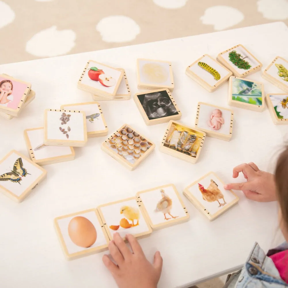 Tickit Wooden Lifecycle Tiles 73522 Thumbnail 8
