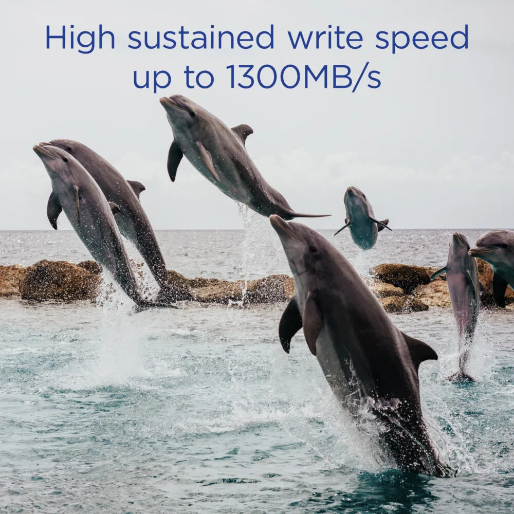 Integral INCFE2TB1800/1700/S1300 Thumbnail 3