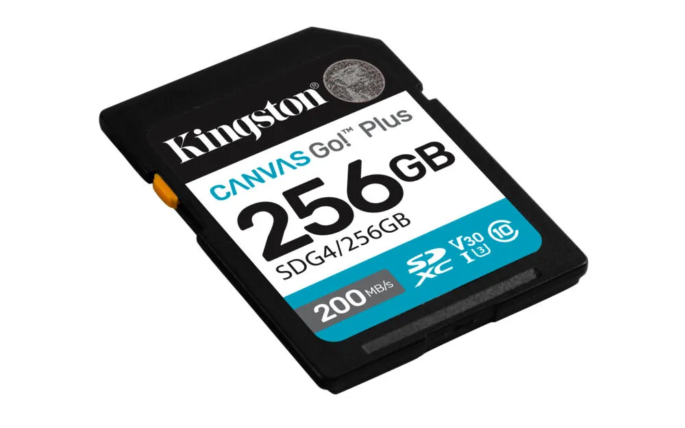 Kingston Technology Canvas Go! Plus SDG4/256GB Thumbnail 1