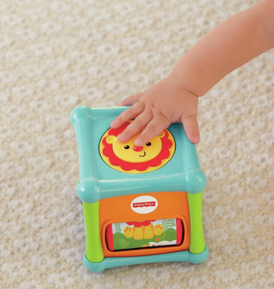 Fisher-Price BFH80 Thumbnail 6