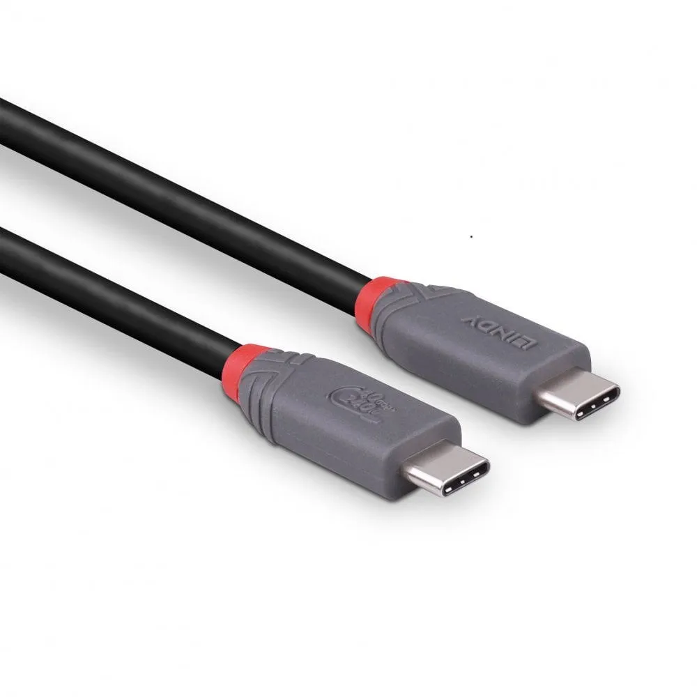 Lindy 36958 USB C to USB C (2 m) USB Kablosu Thumbnail 3