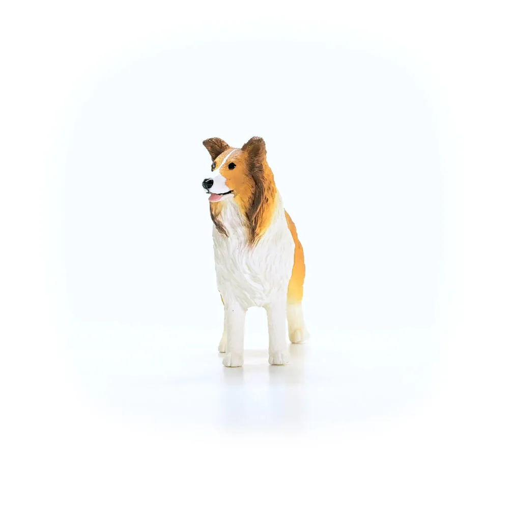 schleich FARM WORLD 13998 Farm, animals / toys Köpek Oyuncak Figür Thumbnail 5