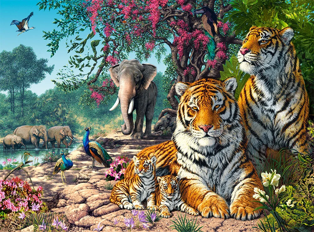 Castorland C-300600-2 3000 Parça Puzzle Thumbnail 1
