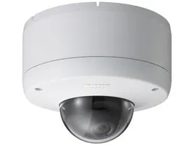 Sony SNC-DF80P webcam 640 x 480 Piksel