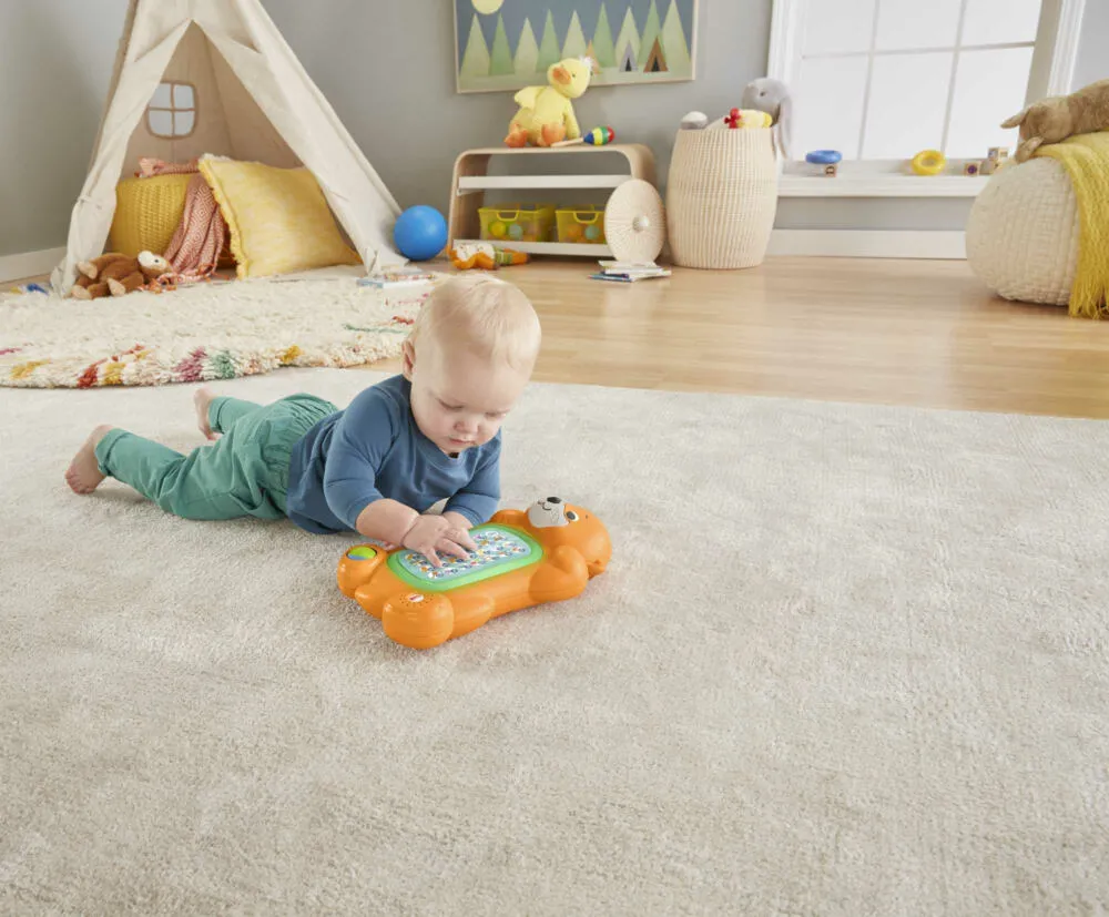 Fisher-Price GJP61 Thumbnail 1