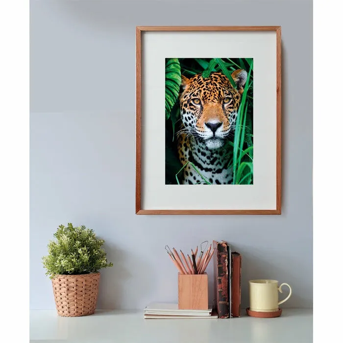 Clementoni High Quality Collection Jaguar in the Jungle 35541 500 Parça Puzzle Thumbnail 3