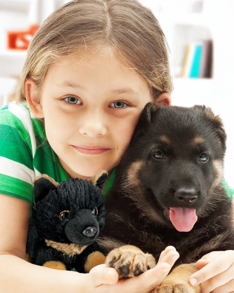Lumo Stars German Shepherd Max 59924 Thumbnail 5