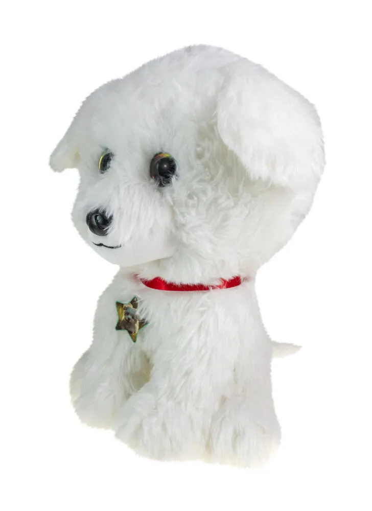 Lumo Stars Maltese Dog Rosie 59707 Thumbnail 1
