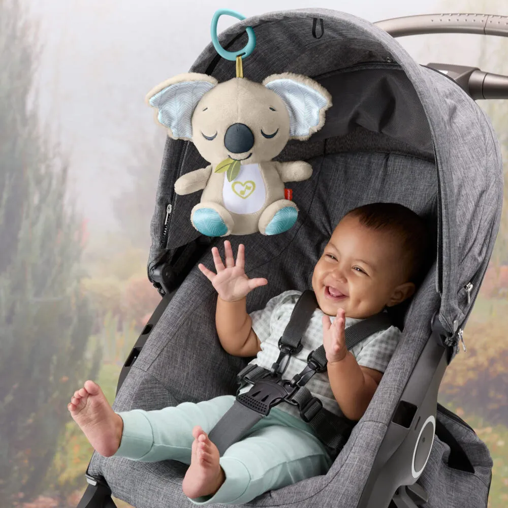 Fisher-Price JBD65 Thumbnail 5