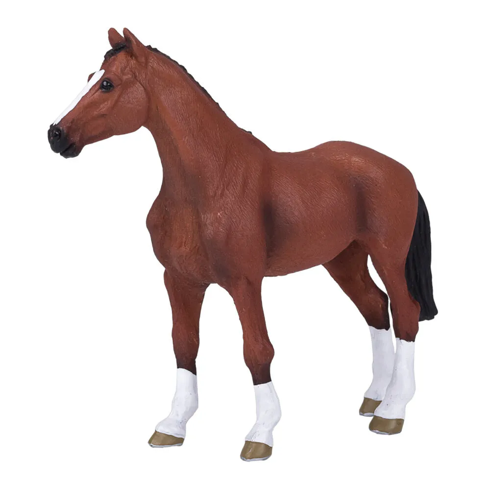 Mojo Fun Dutch Warmblood (Portugal) 387294 Thumbnail 5