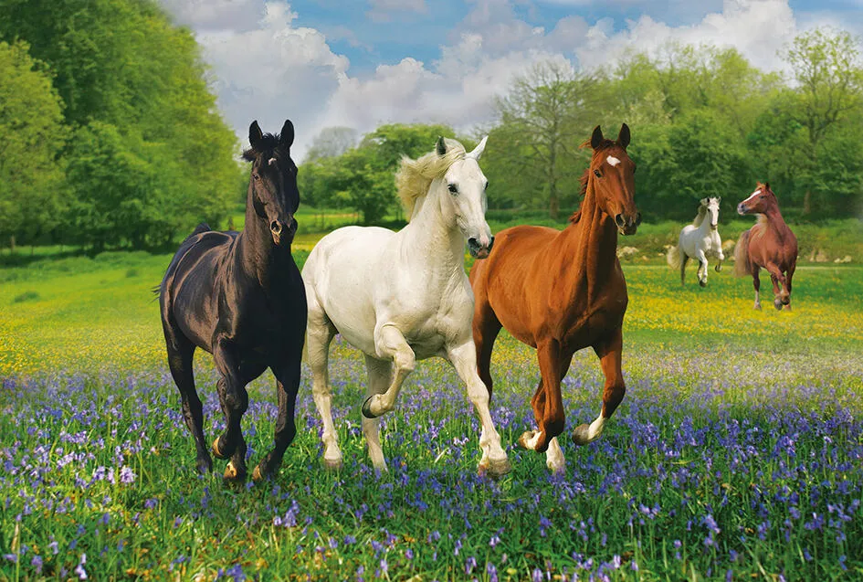 Clementoni 39255 1000 Parça Puzzle Thumbnail 2