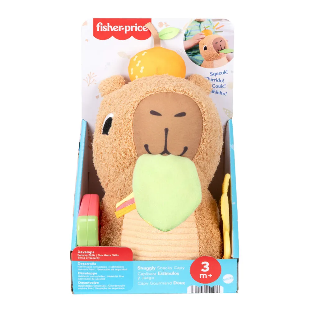 Fisher-Price HYR54 Thumbnail 9