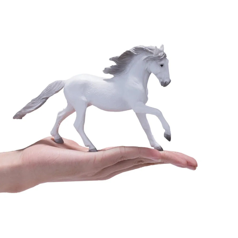 Mojo Fun Lusitano 381001 Thumbnail 9