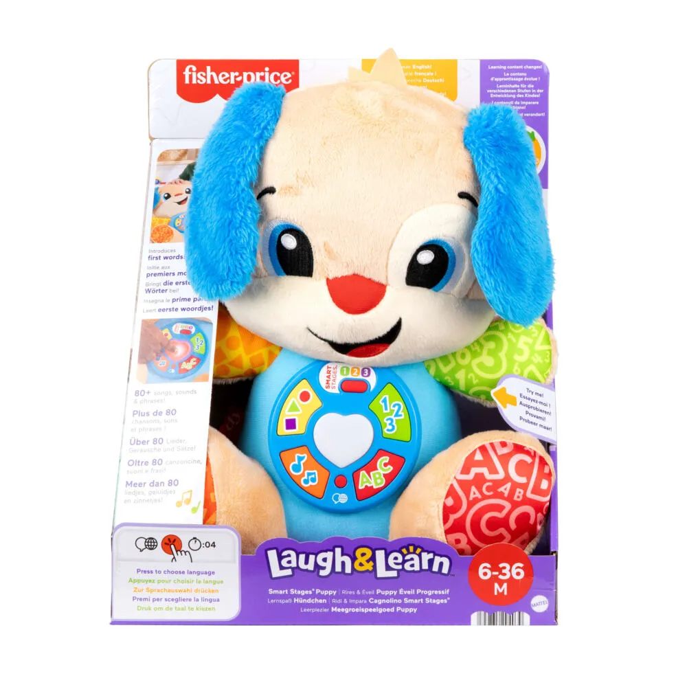 Fisher-Price Laugh & Learn JFD20 Thumbnail 10