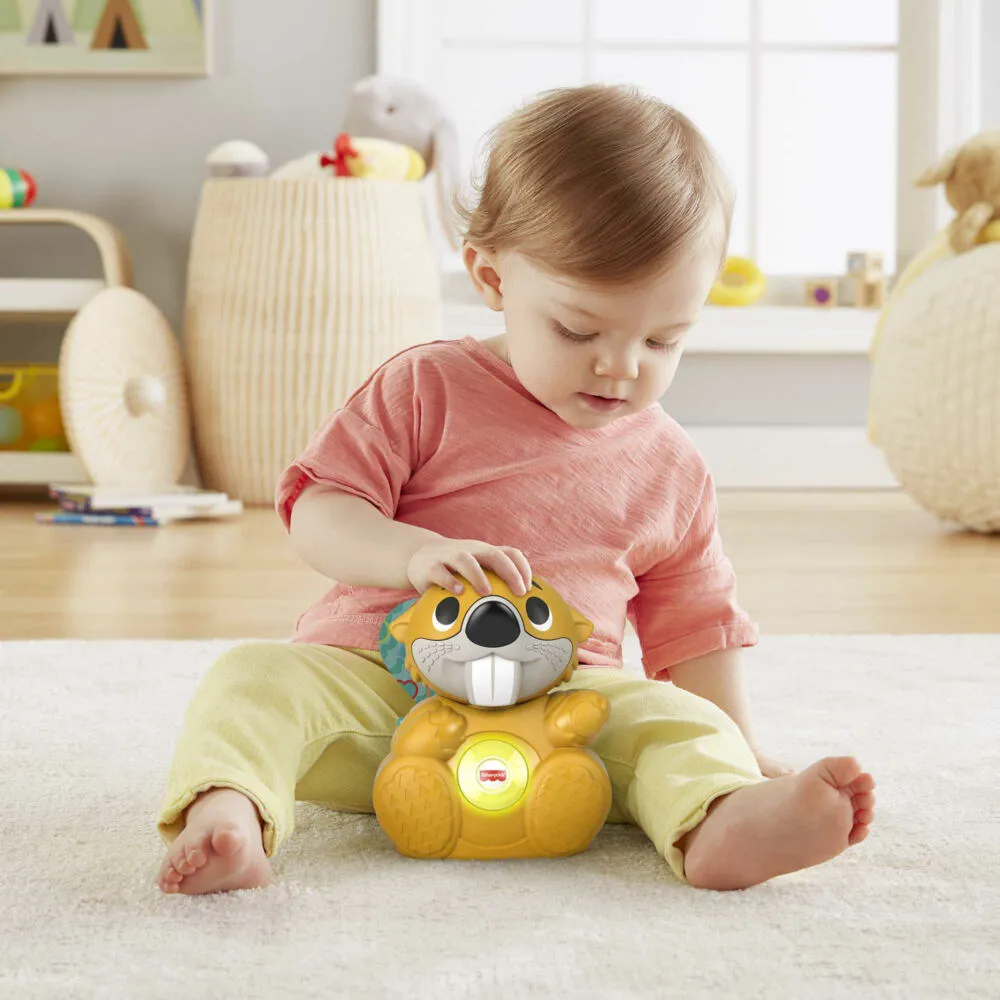 Fisher-Price GXD85 Thumbnail 2