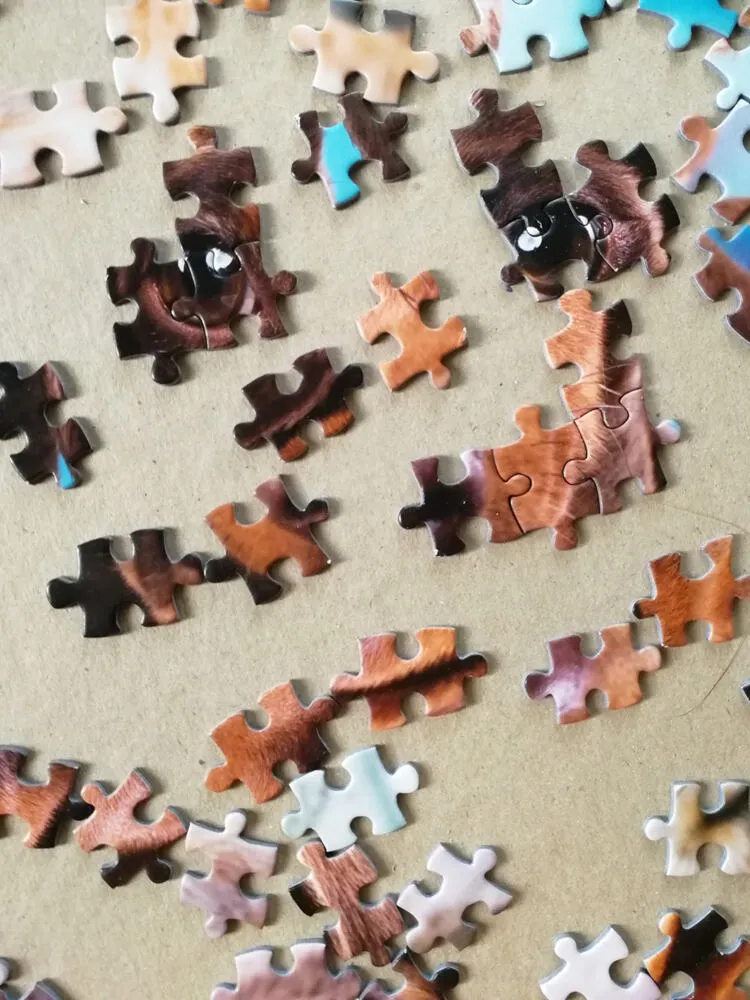 Tactic Dashing Dacshunds 1000 Parça 58314 Puzzle Thumbnail 13