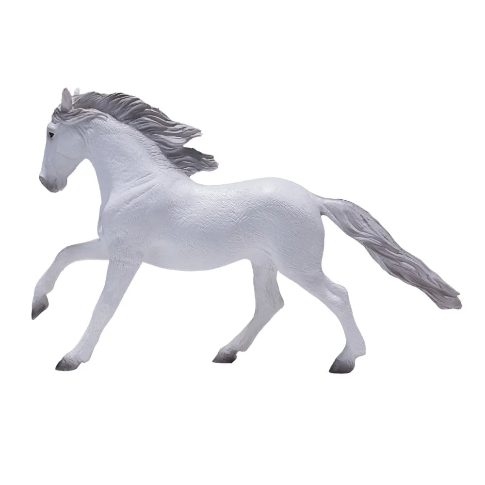 Mojo Fun Lusitano 381001 Thumbnail 3