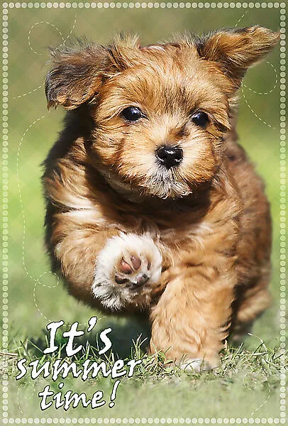 Trefl 16265 100 Parça Puzzle Thumbnail 0
