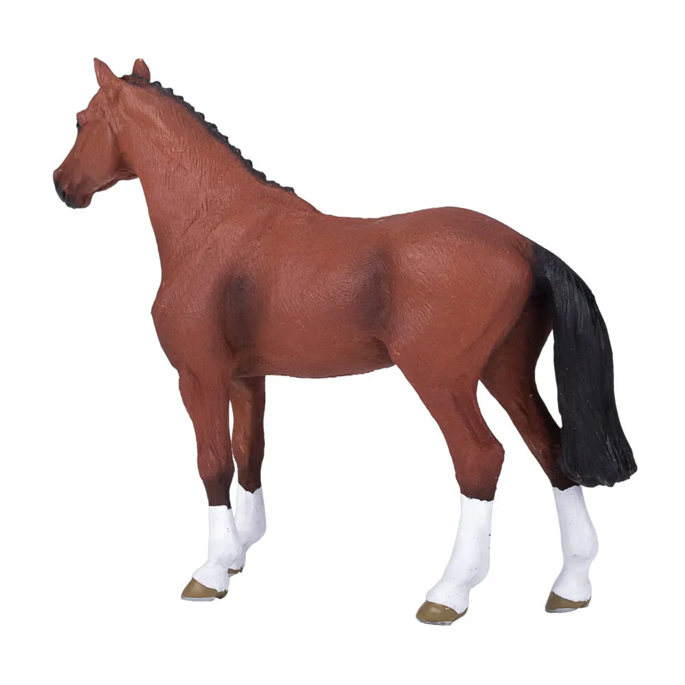 Mojo Fun Dutch Warmblood (Portugal) 387294 Thumbnail 7