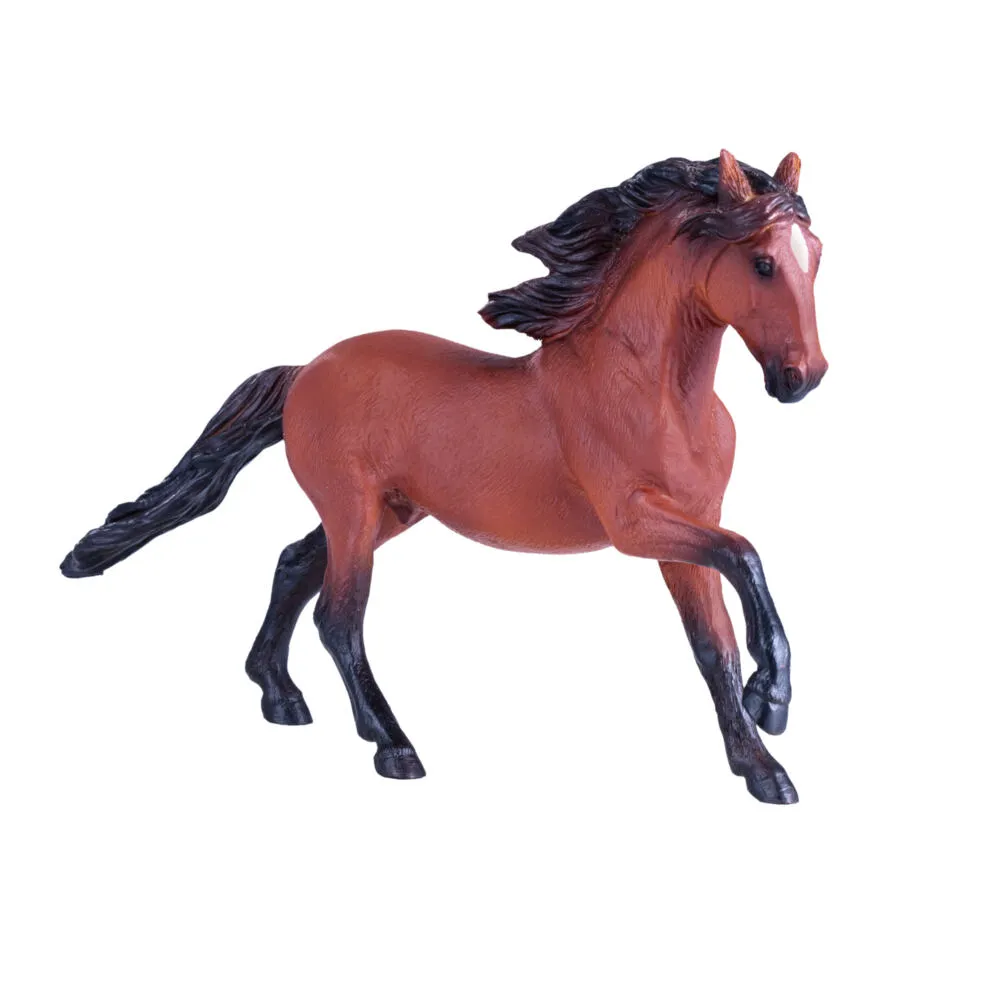 Mojo Fun Lusitano 381002 Thumbnail 1