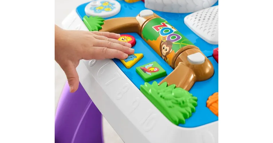 Fisher-Price DRH31 Thumbnail 14