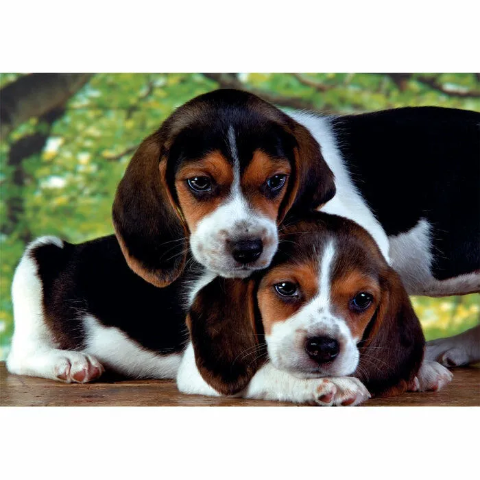 Clementoni High Quality Collection Close Together 35536 500 Parça Puzzle Thumbnail 1