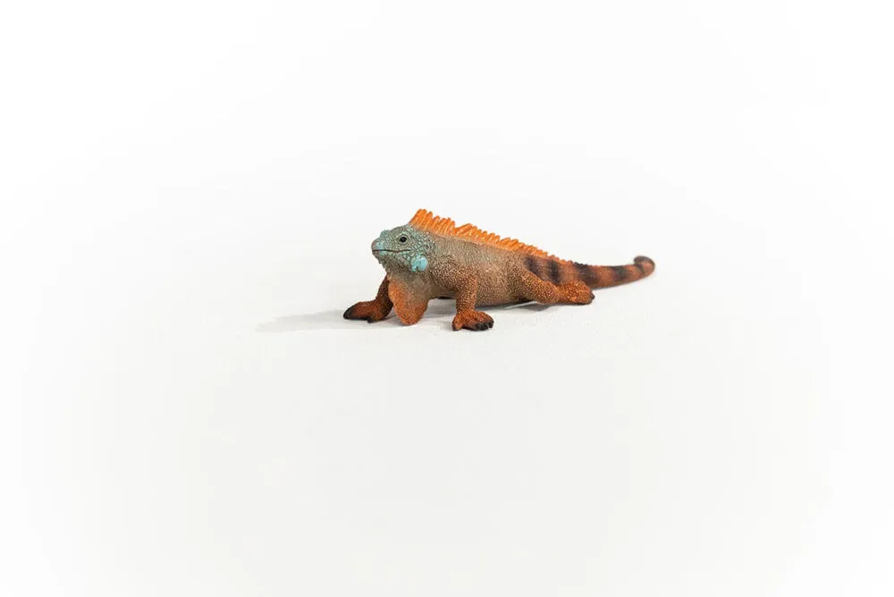 schleich 14854 Forest, Wild animals / adventure toys İguana Oyuncak Figür Thumbnail 1