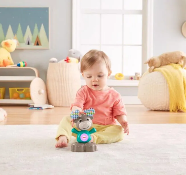 Fisher-Price GJB22 Thumbnail 4