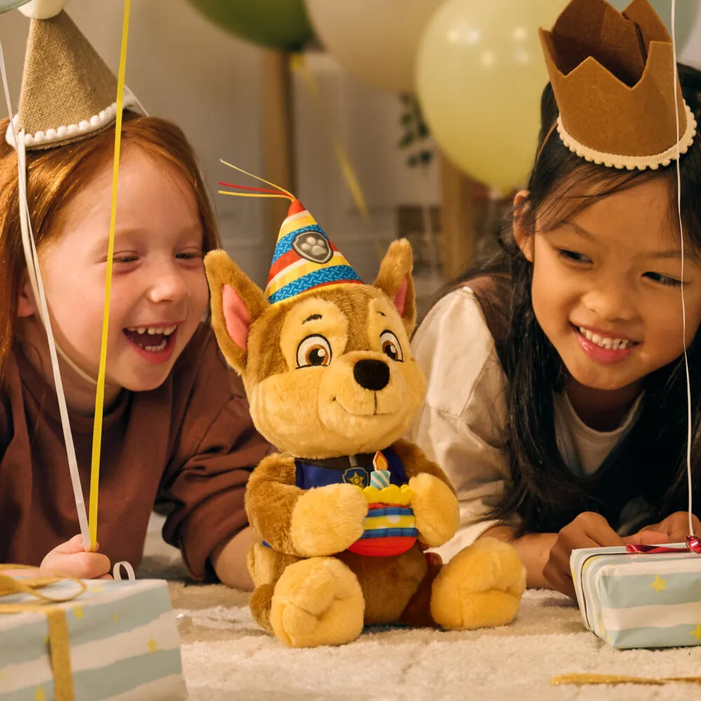 Spin Master PAW Patrol GPW 9Hin Birthday Chase GML Thumbnail 5