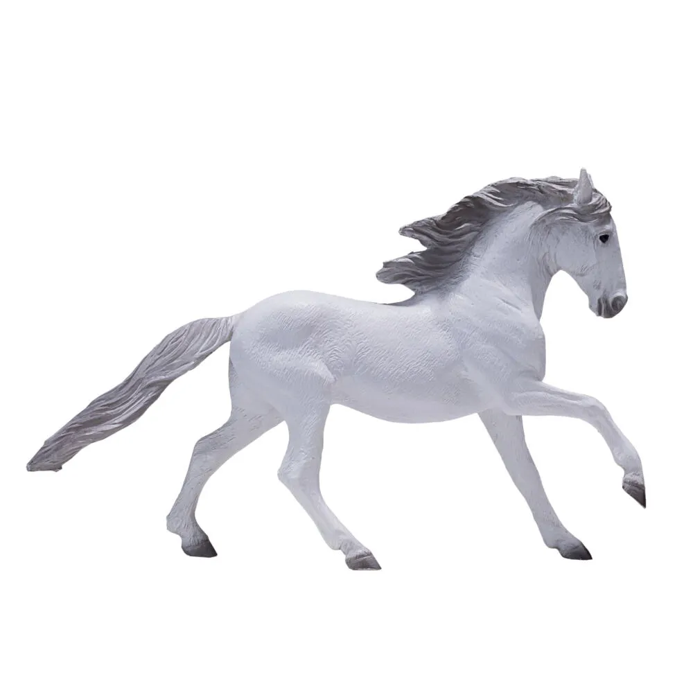 Mojo Fun Lusitano 381001 Thumbnail 7