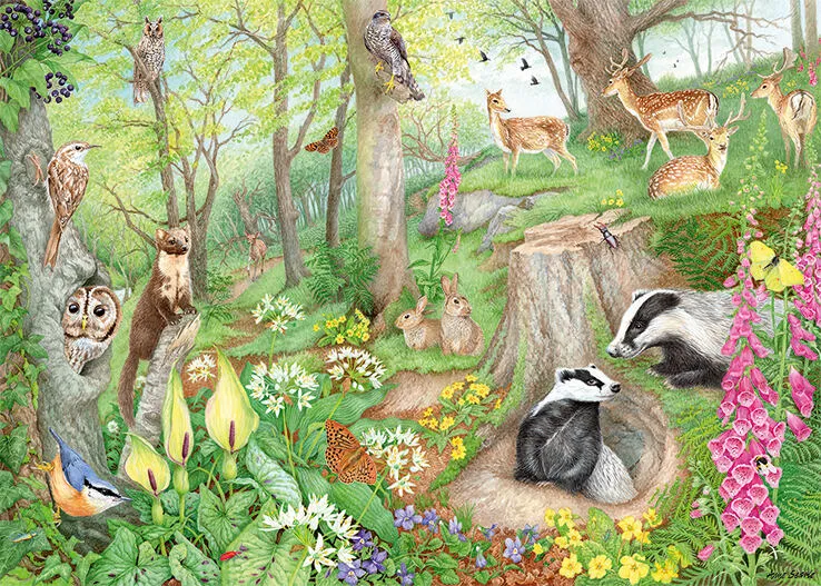 Jumbo Woodland Wildlife 1000 Parça 11322 Puzzle Thumbnail 6